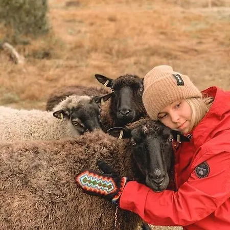 Aurora Lakefront Otsola, 55 Km From Chalet *