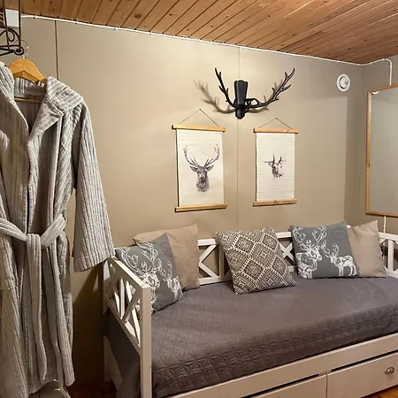 Chalet Aurora Lakefront Otsola, 55 Km From *